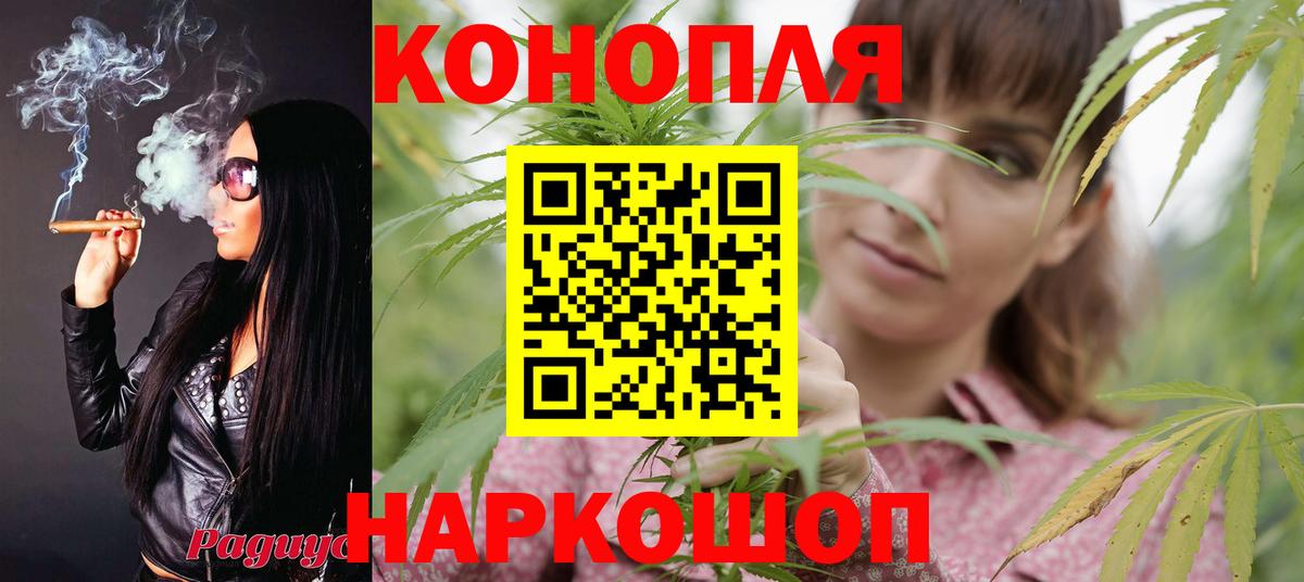 Конопля сатива Мытищи